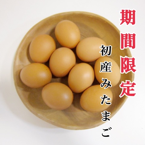 白鳳卵「初っ子」30個入 | 美味しい卵お取り寄せ白鳳卵｜さかもと養鶏