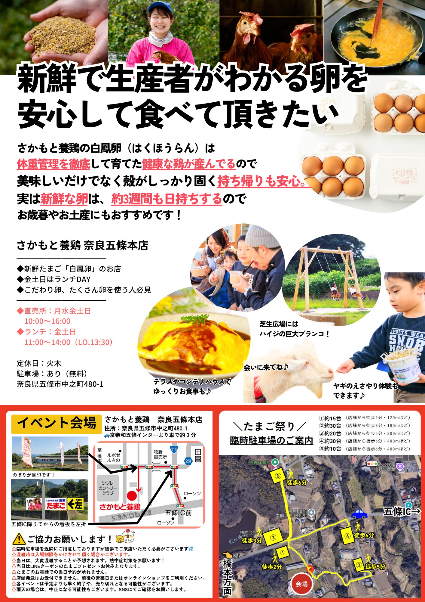 やまもも　大玉　予約専用　6月30日予約開始 大寒卵＊健康運UP！金運UP！ご祈祷の御札付き | 美味しい卵お