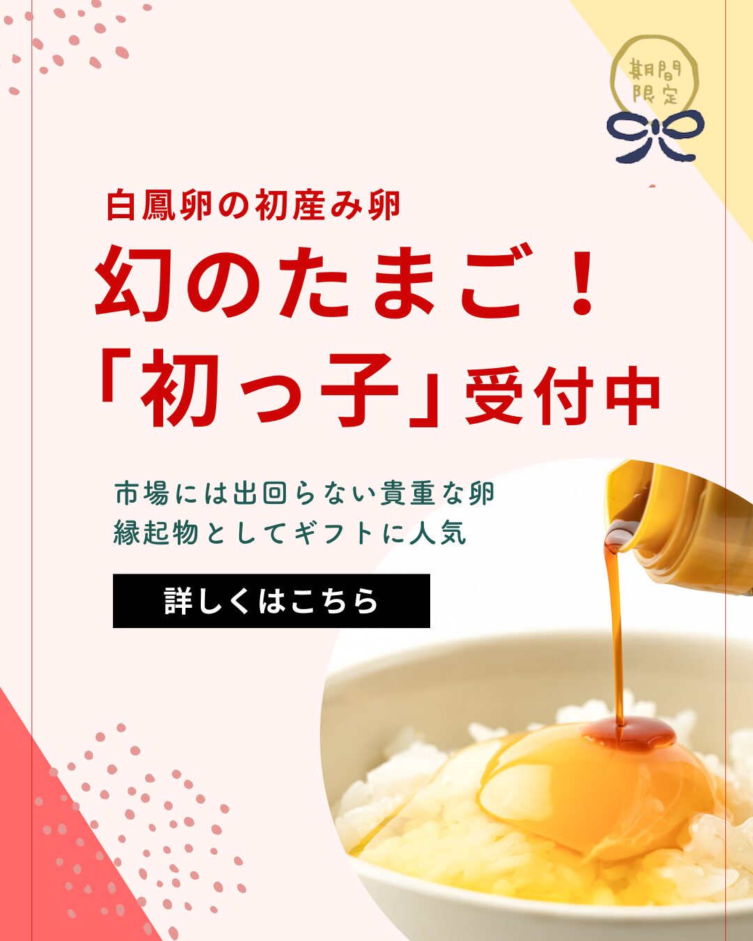 美味しい卵お取り寄せ白鳳卵｜さかもと養鶏株式会社（奈良五條本店直売